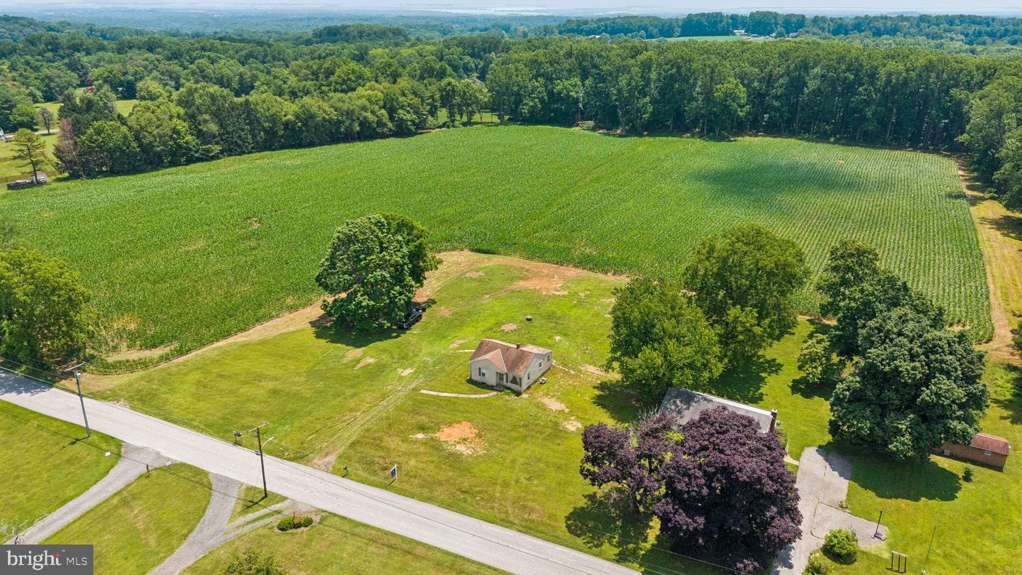 7219 New Cut Road photo 19