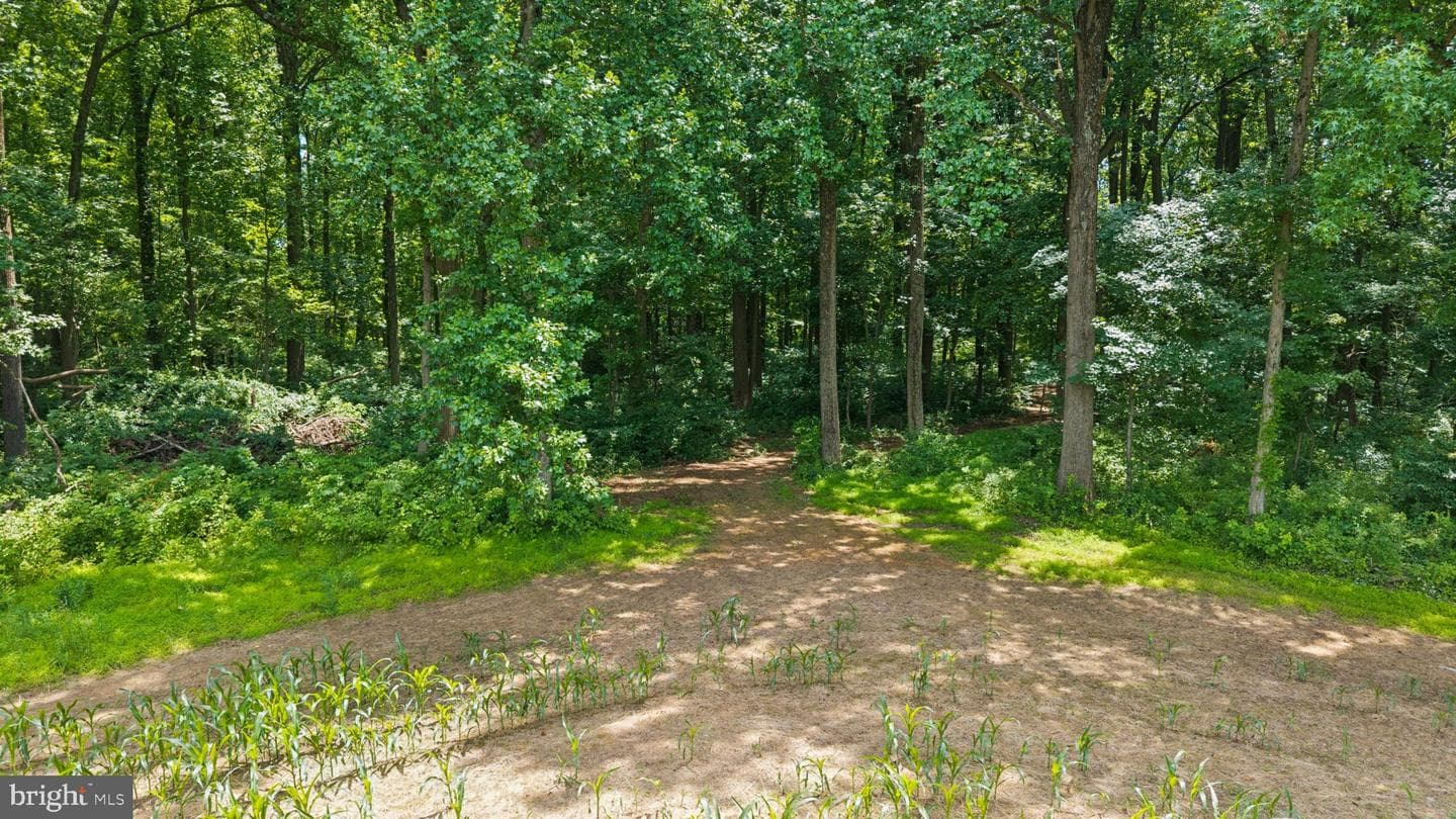 7219 New Cut Road photo 24