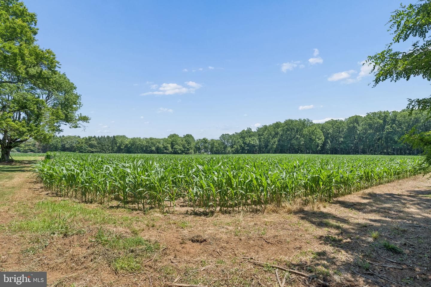 7219 New Cut Road photo 35
