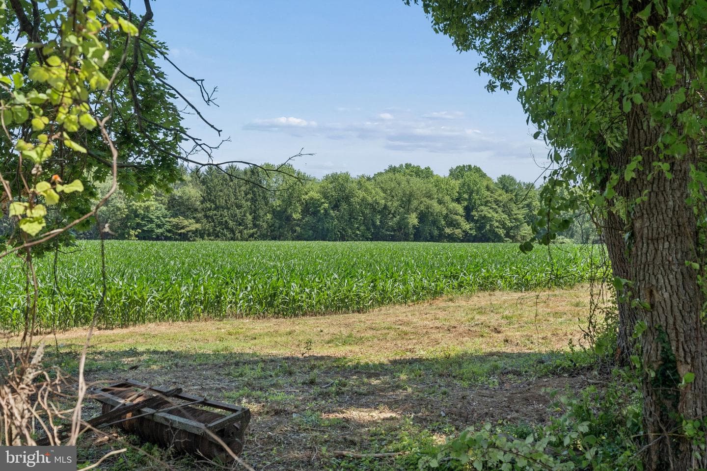 7219 New Cut Road photo 38