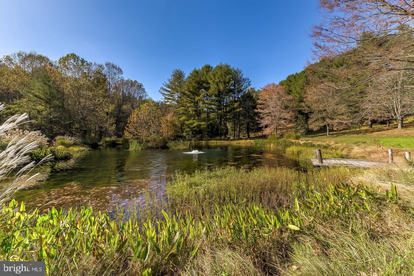 12500 Ivy Mill Road photo 46