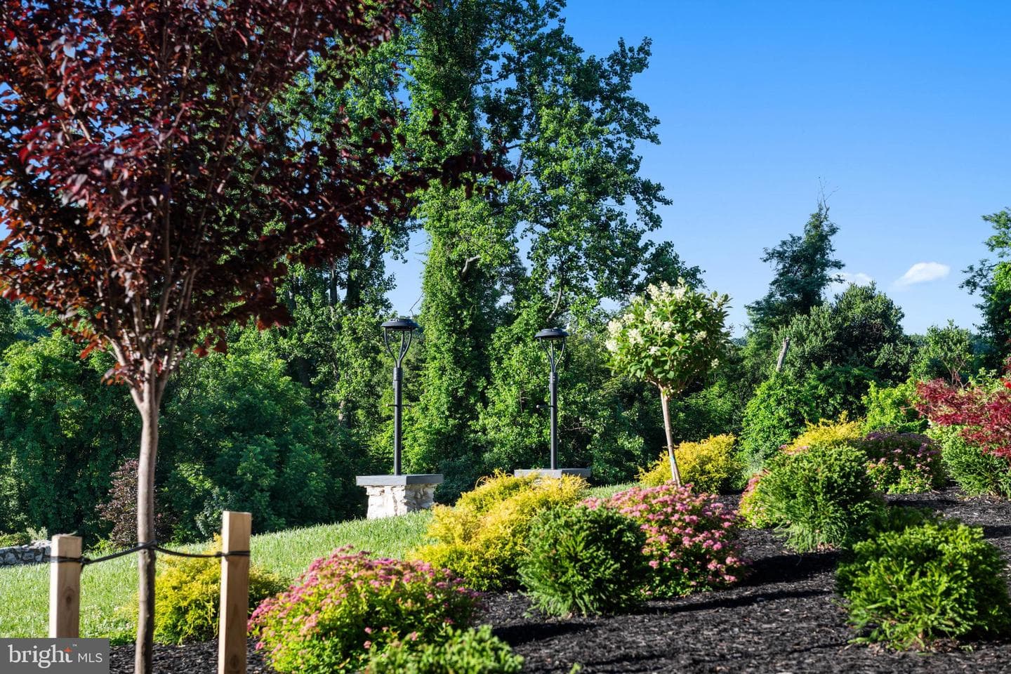 5420 Lynch Ln photo 10