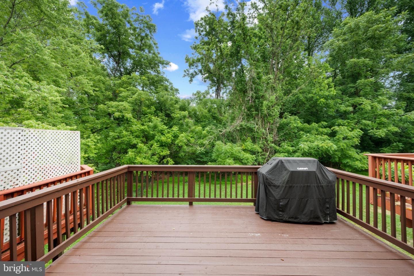 220 Persimmon Circle photo 28