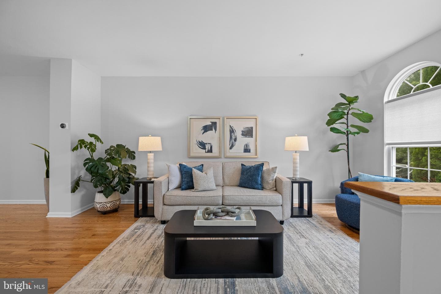 220 Persimmon Circle photo 3