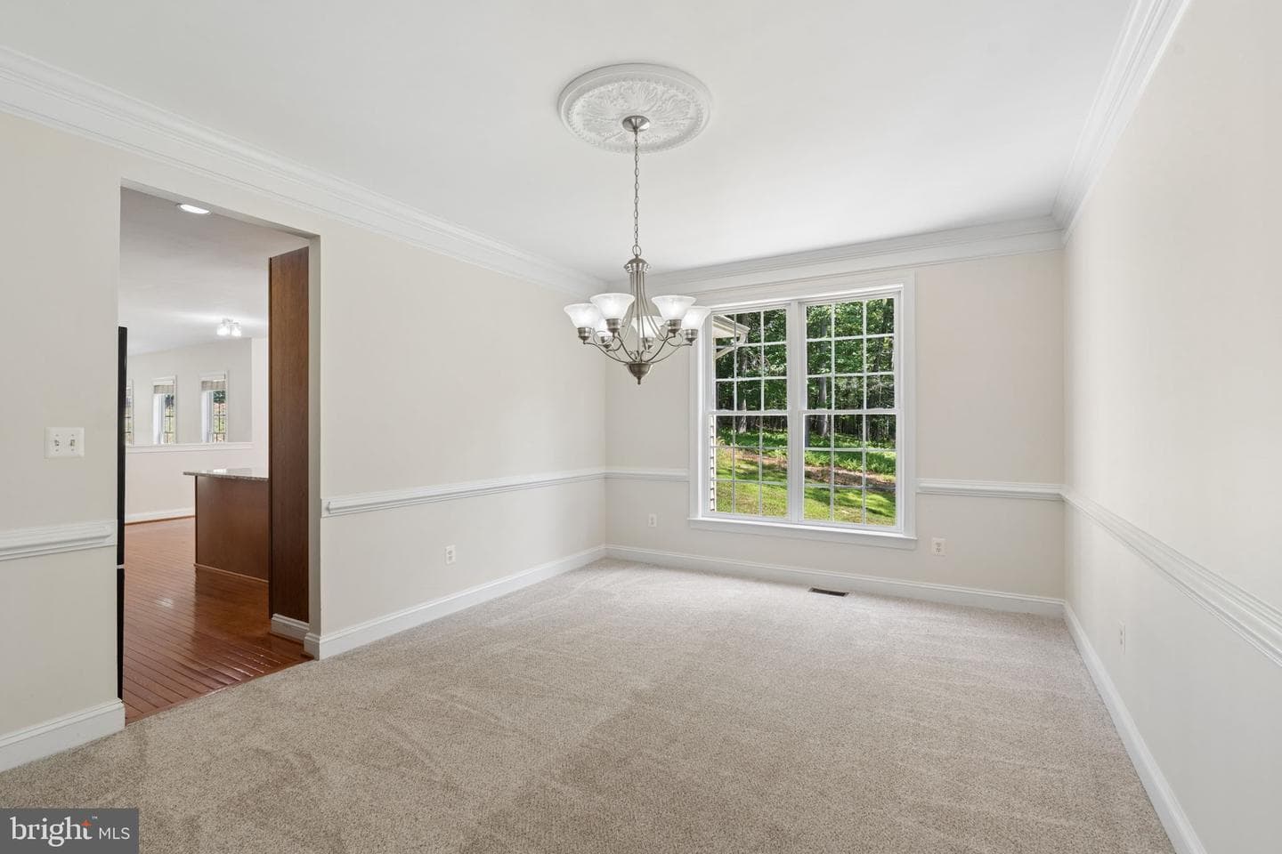 19109 Timothys Manor Court photo 13