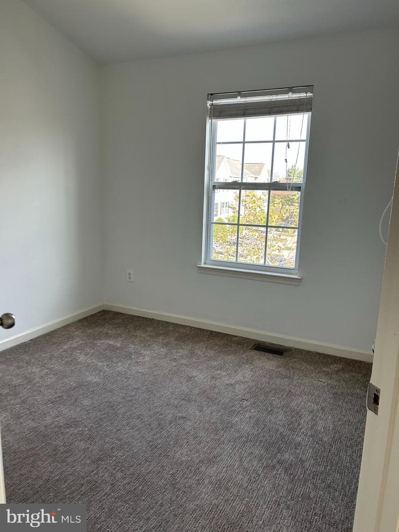 9401 Summer Squall photo 14