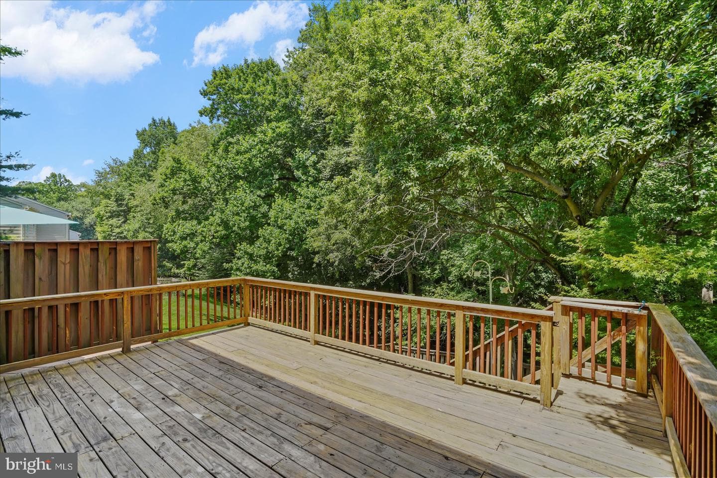 46 Abbey Bridge Court photo 39