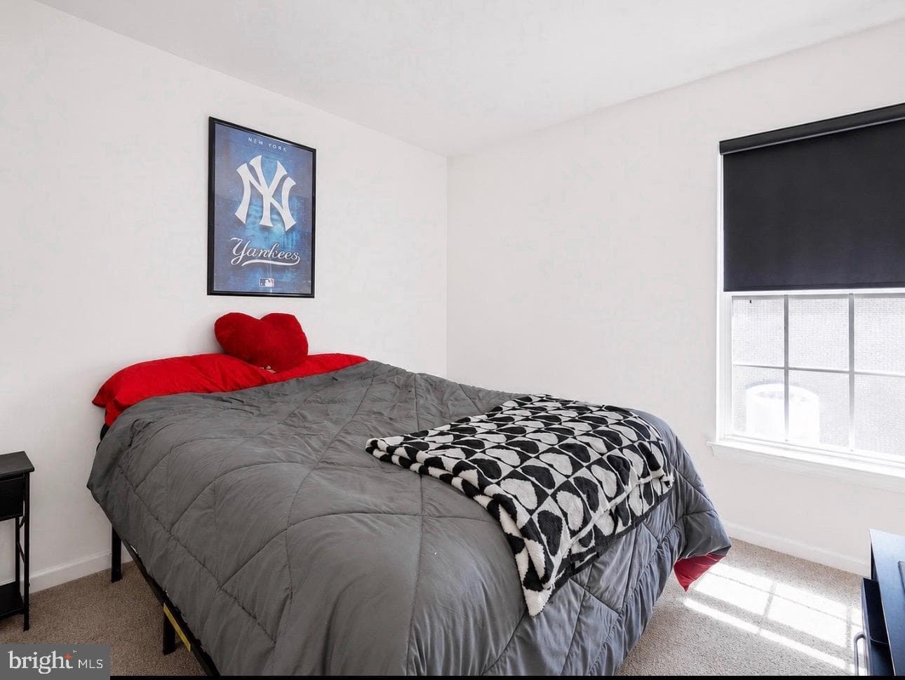 5067 Cameo Terrace #5067 photo 24