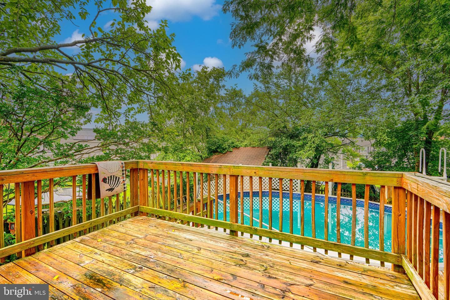 12808 Cunninghill Cove Road photo 37