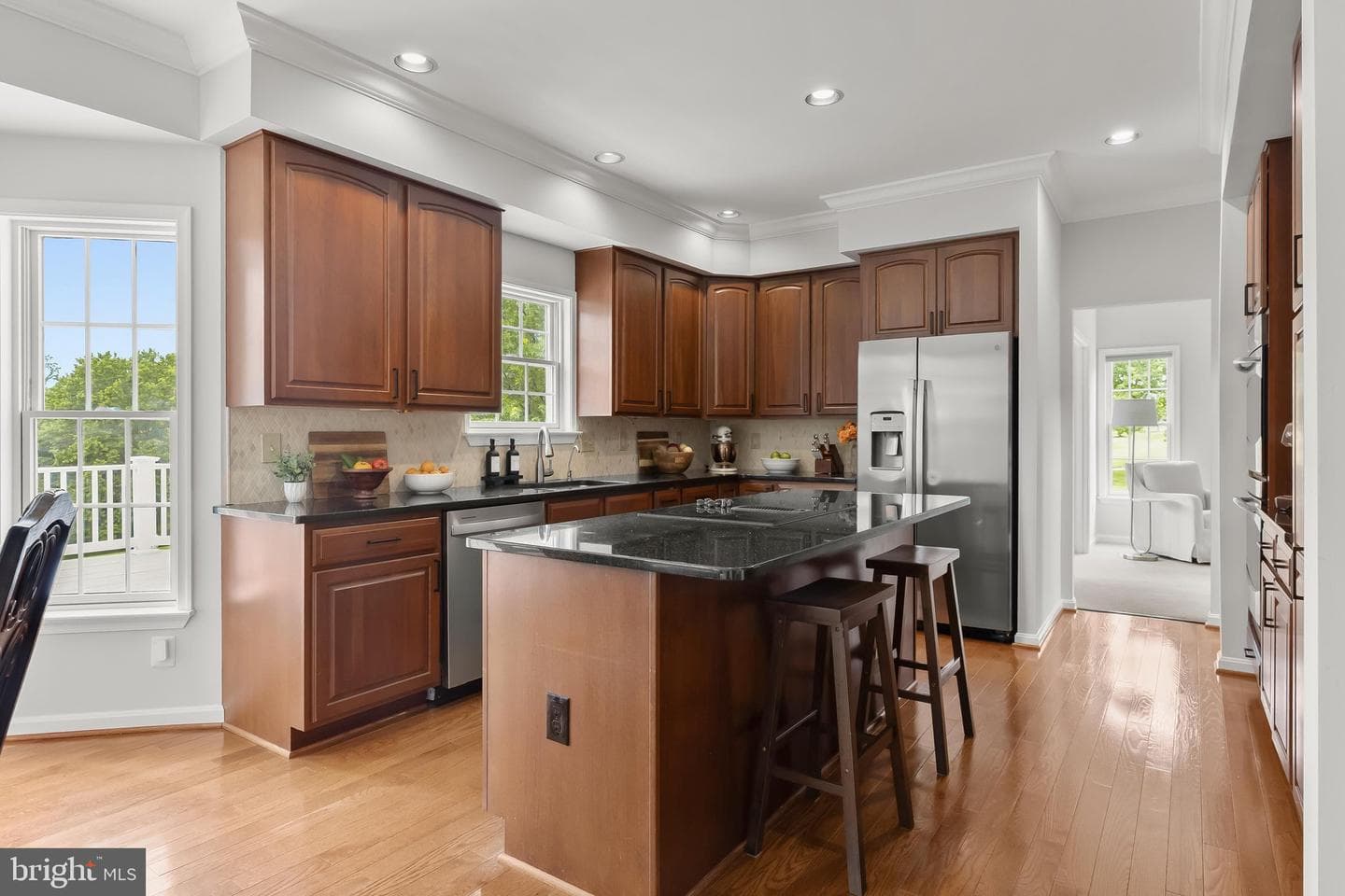 16 Farm Ridge Court photo 19