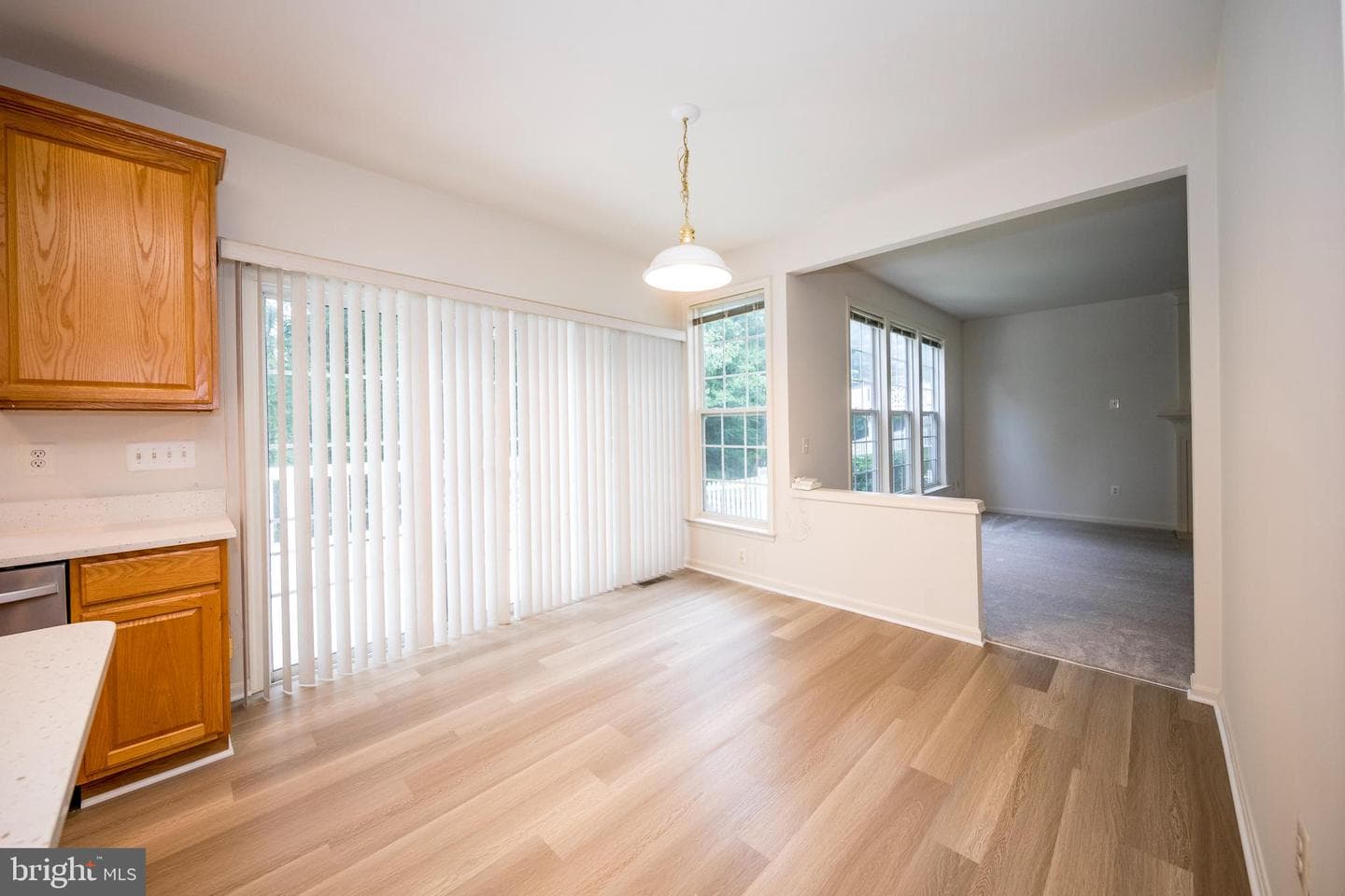 10504 Willow Vista Way photo 23
