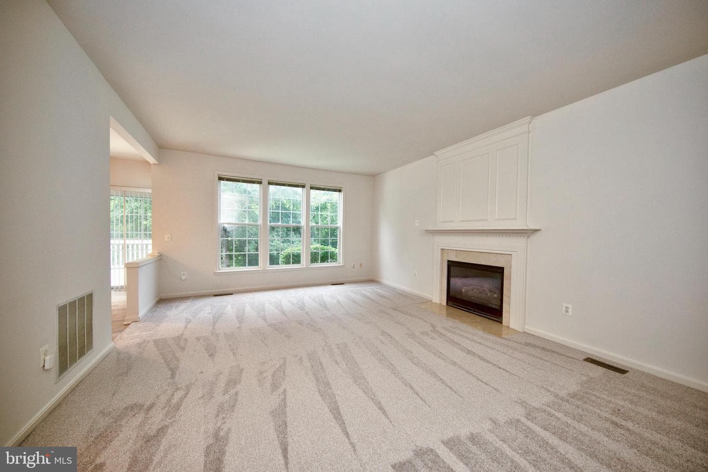 10504 Willow Vista Way photo 26
