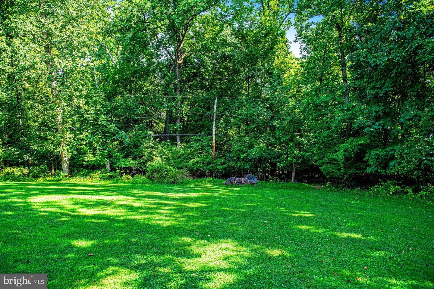 1014 Windsor Road photo 44