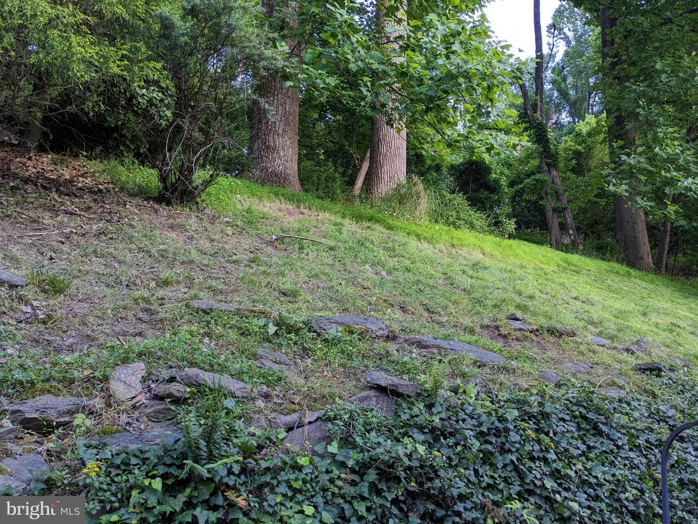 1011 Lillies Lane photo 45