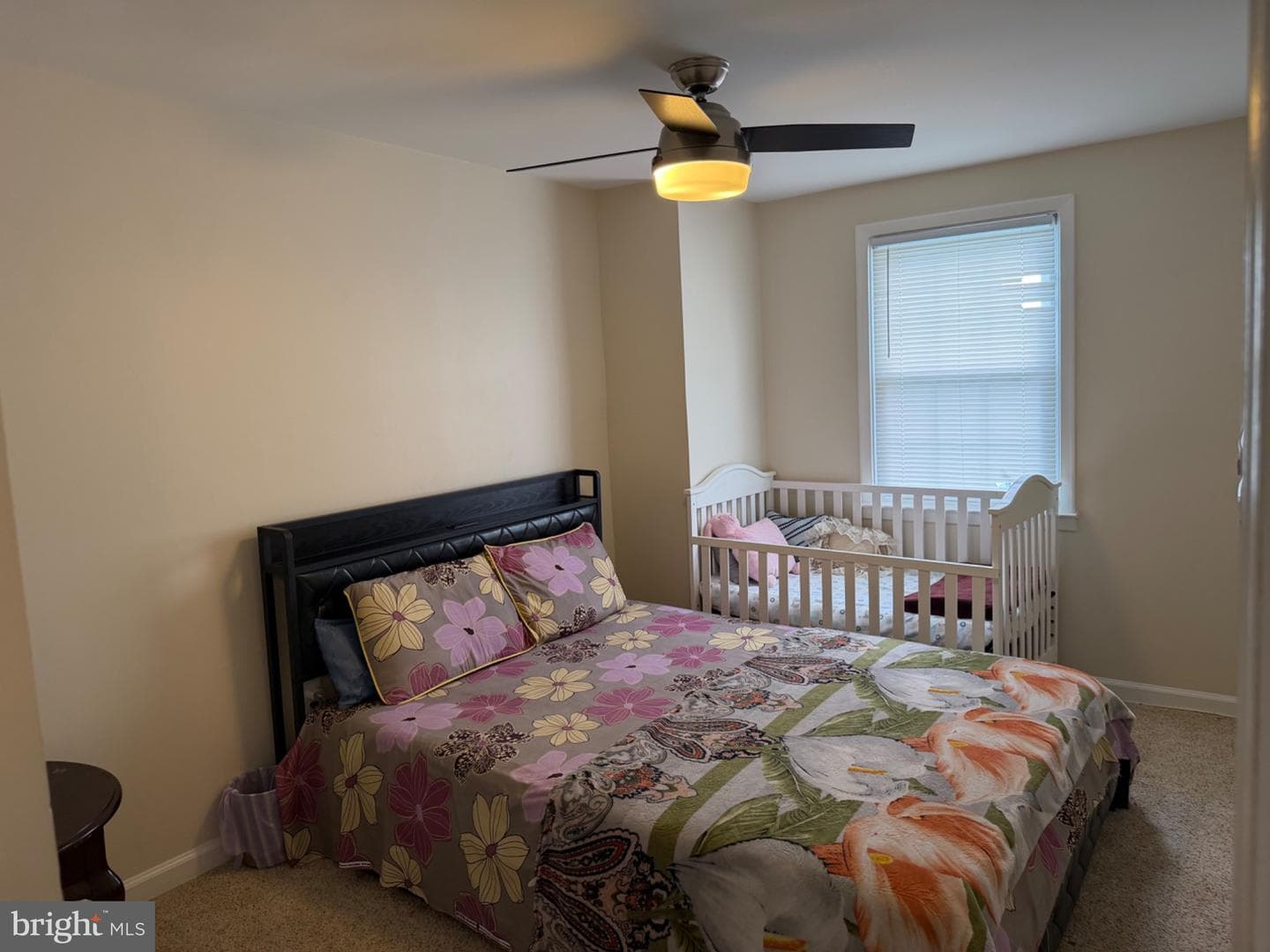 31 Arwell Court #15f photo 16