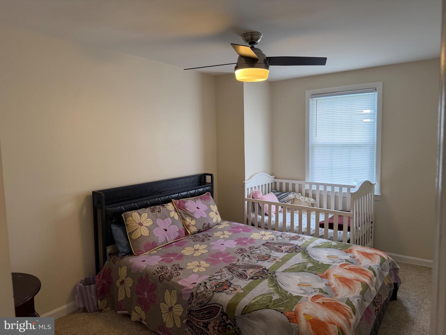 31 Arwell Court #15f photo 17