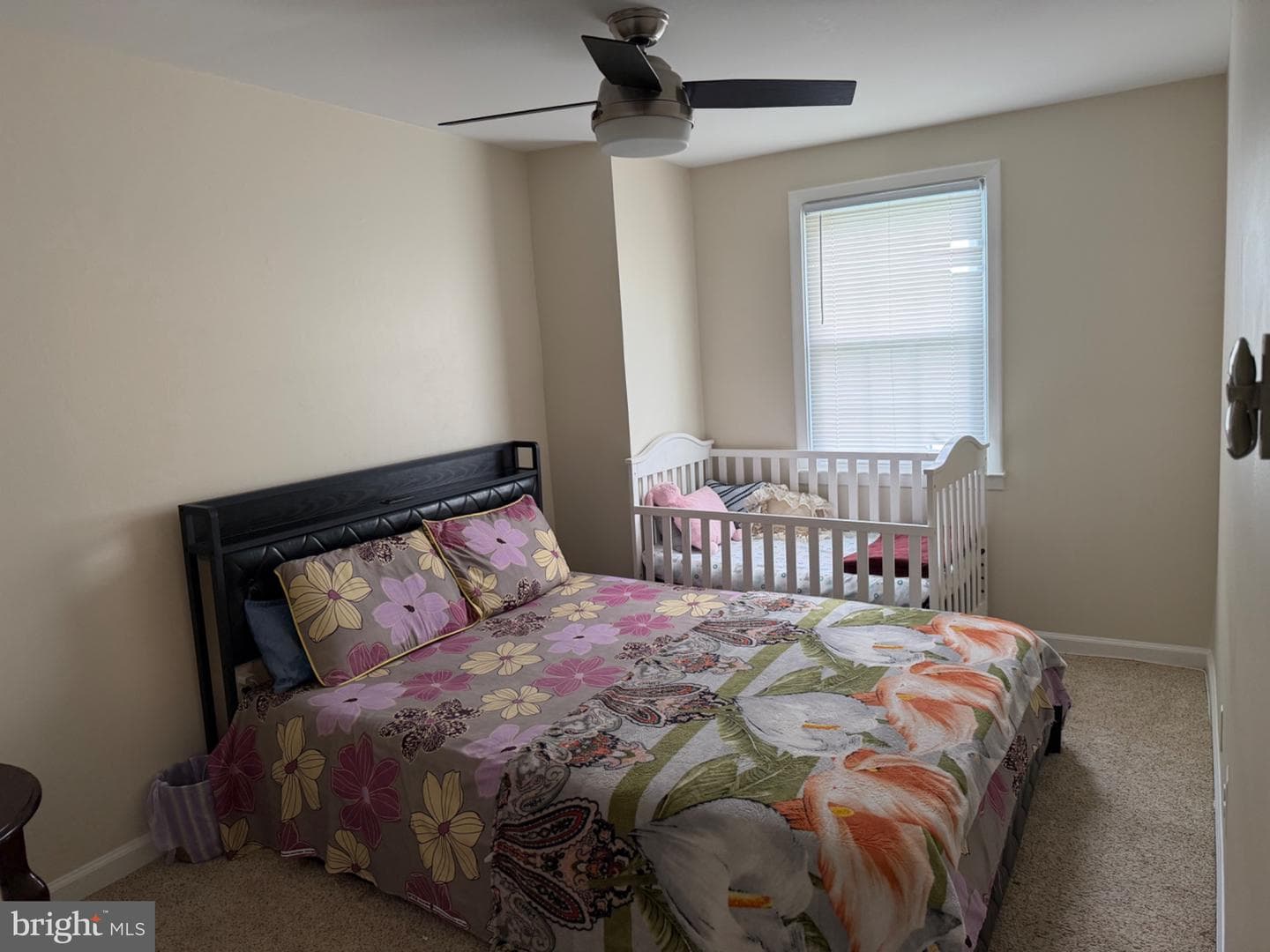 31 Arwell Court #15f photo 22