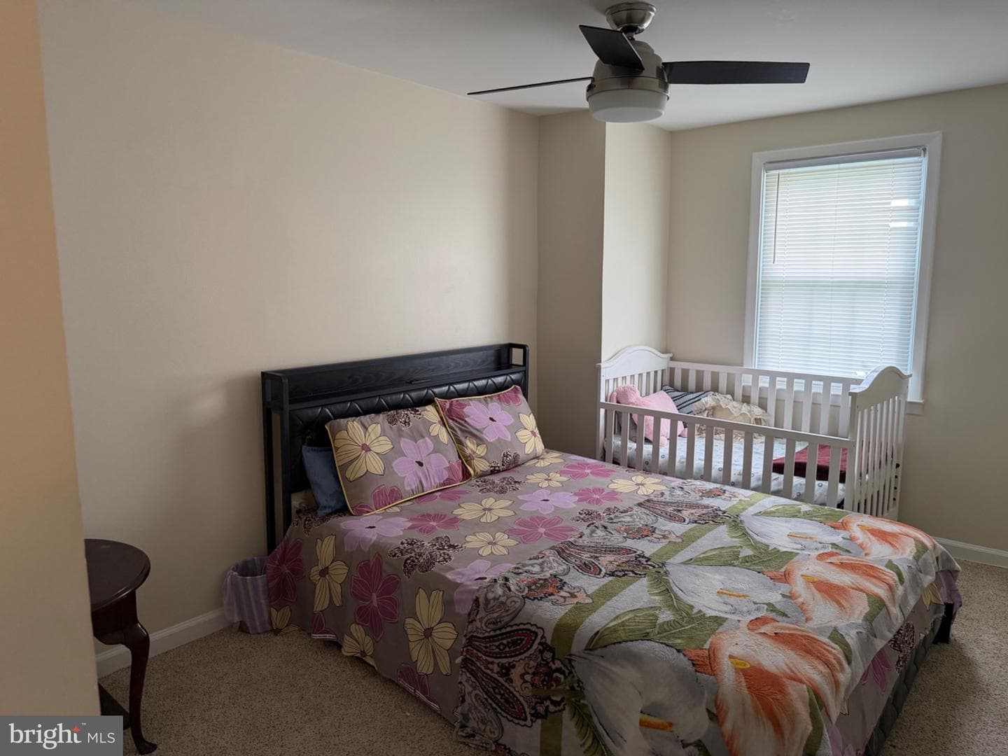 31 Arwell Court #15f photo 24