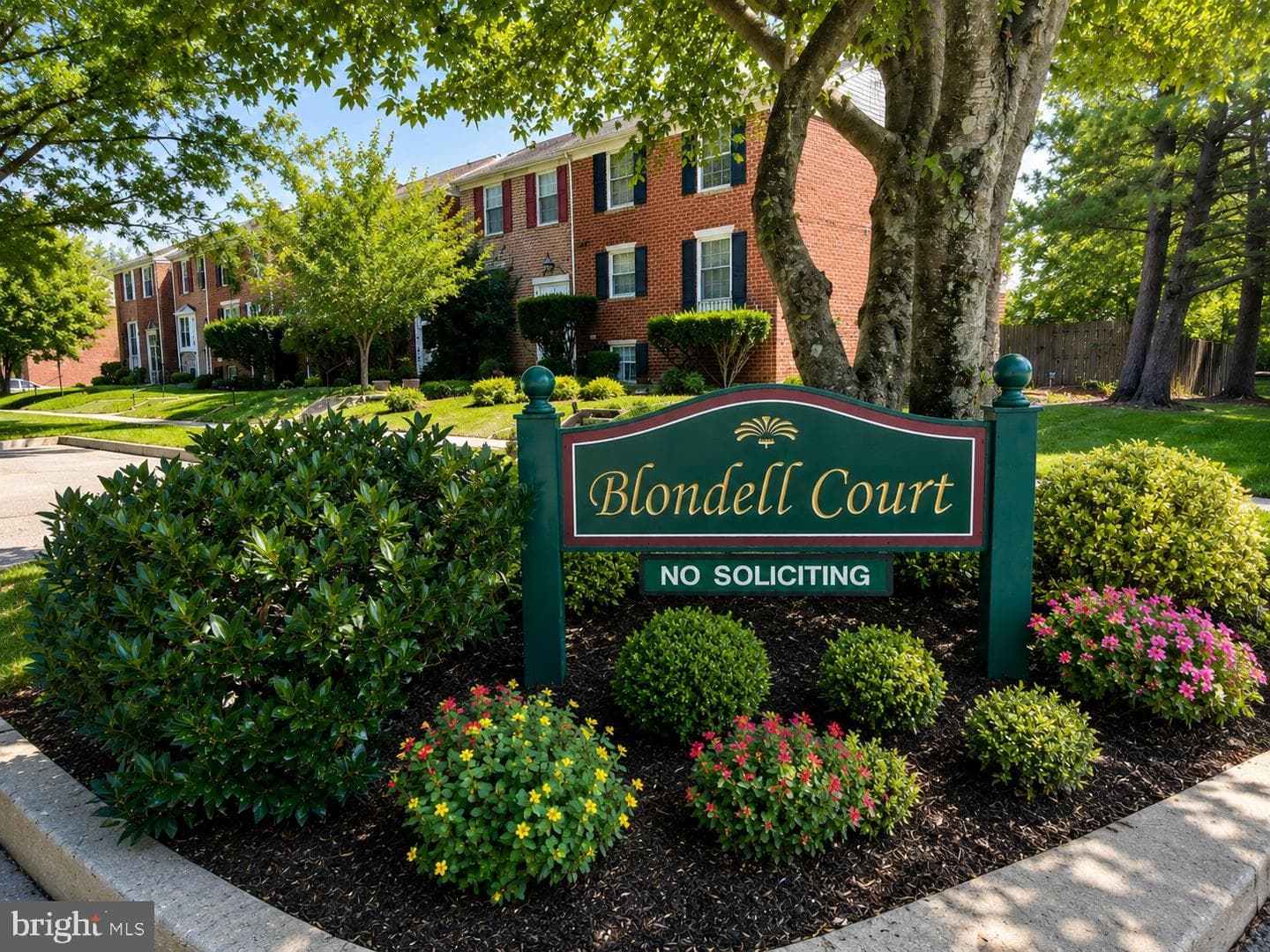36 Blondell Court photo 29