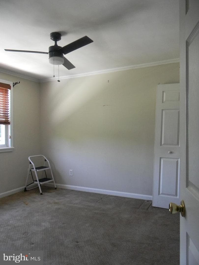 713 Eastshire Drive photo 13