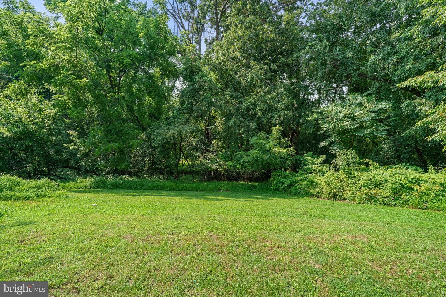 26 Spectator Lane photo 35