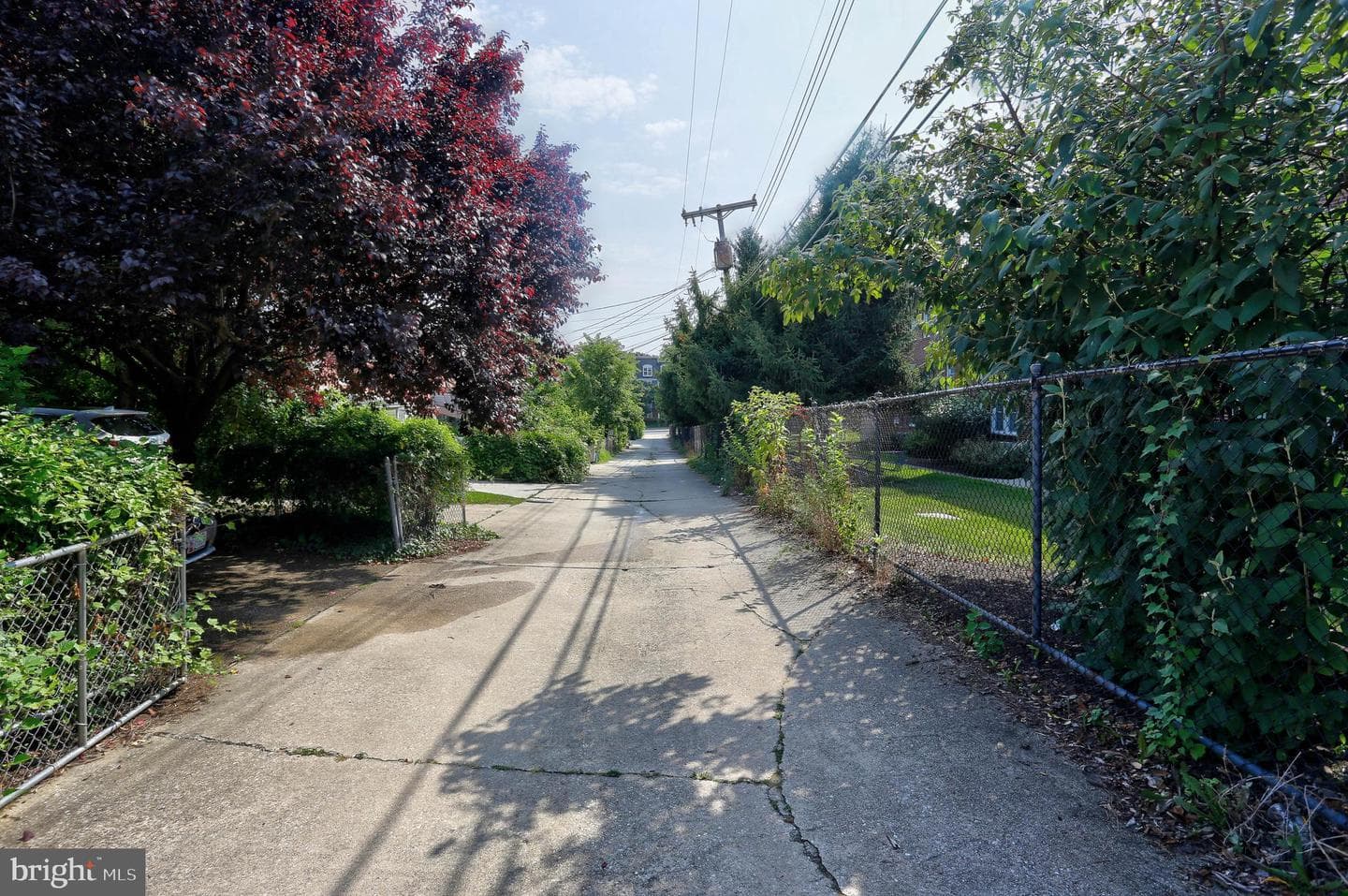 831 Bosley Avenue photo 34