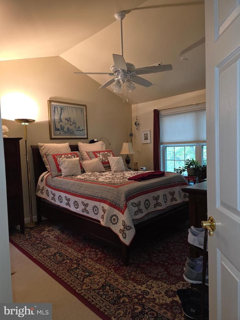 9226 James Howard Lane #9226 photo 18