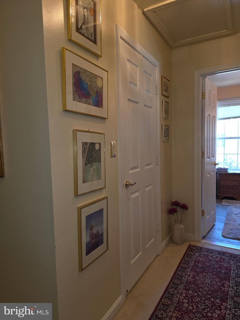 9226 James Howard Lane #9226 photo 23