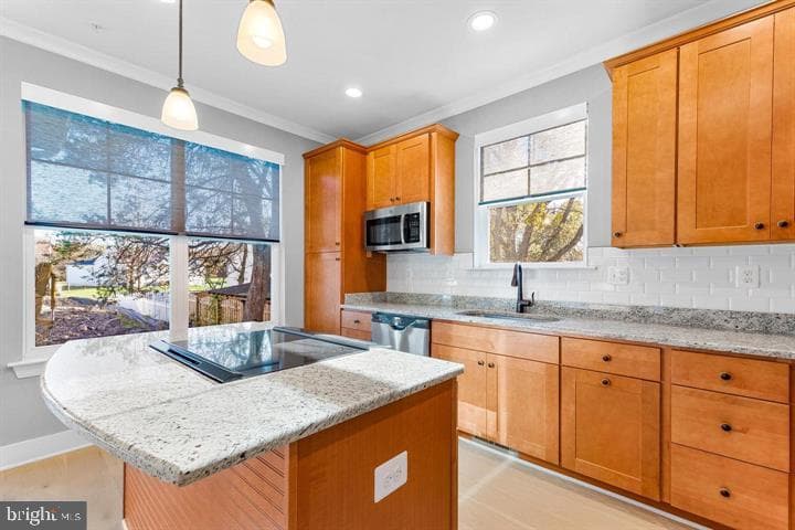 890 Alameda Drive photo 13