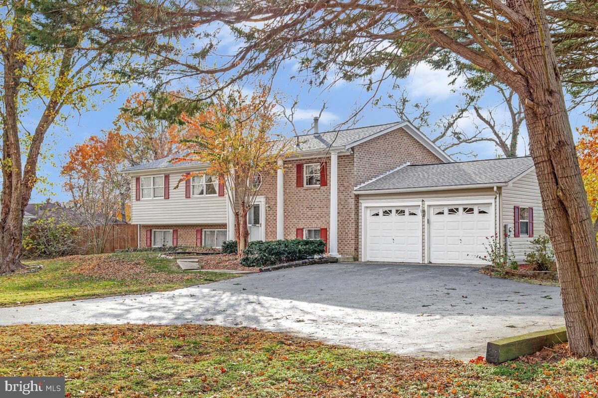 3925 Shamrock Court photo 7