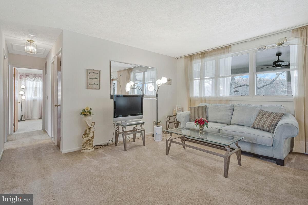 3925 Shamrock Court photo 9