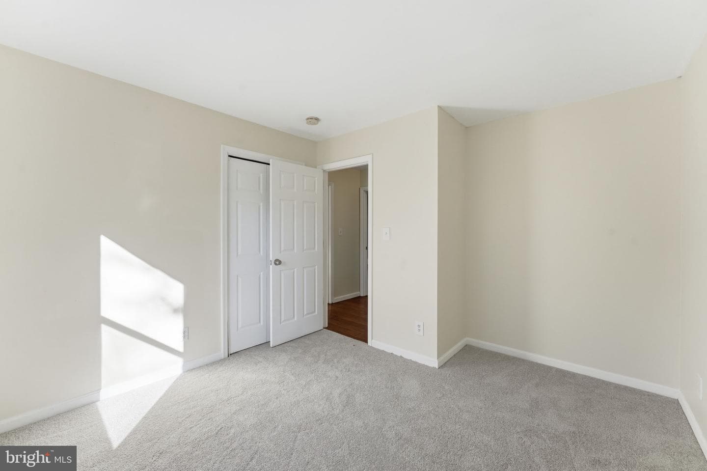 817 Bison Court photo 17