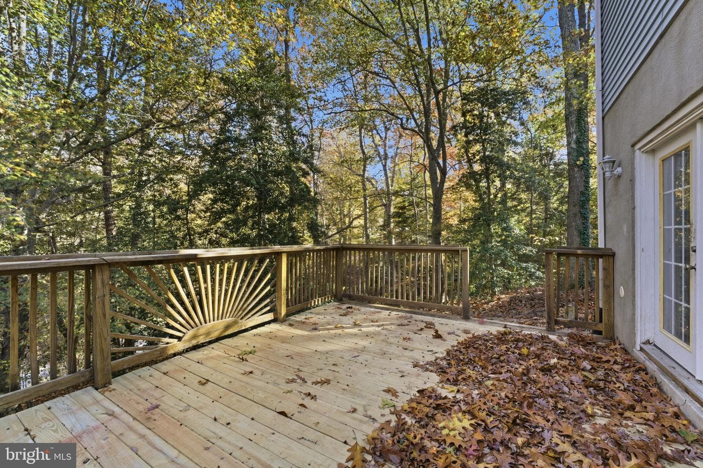 817 Bison Court photo 23