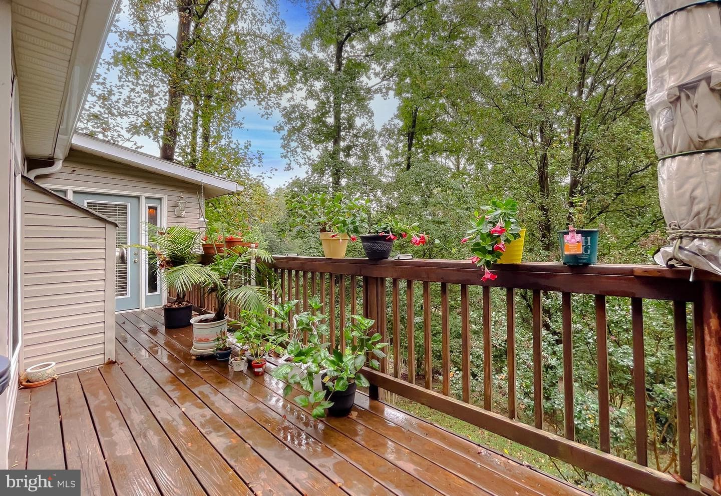 5862 Magnolia Circle photo 42