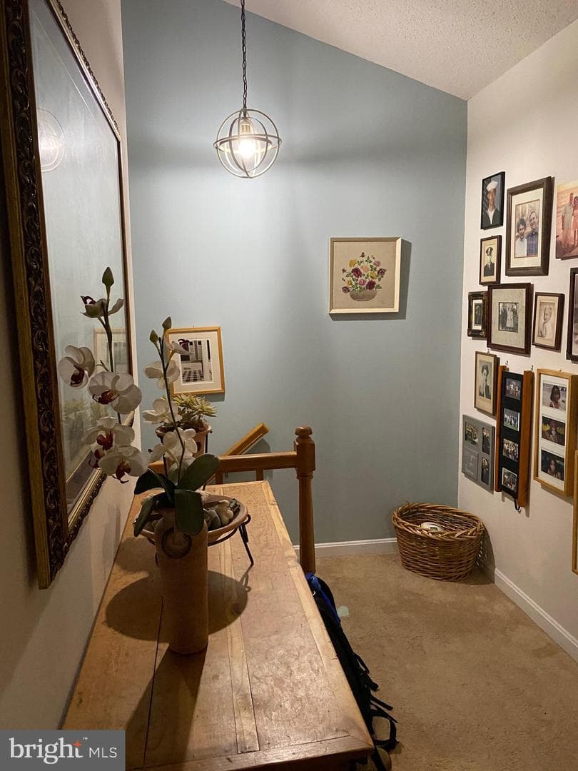 13317 Shipwrights Circle photo 24