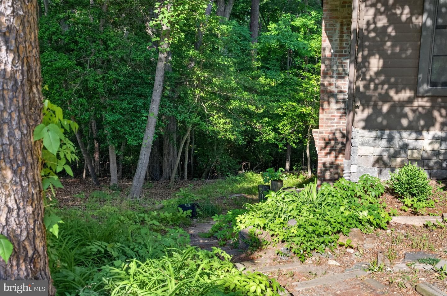 8480 Chesley Drive photo 35