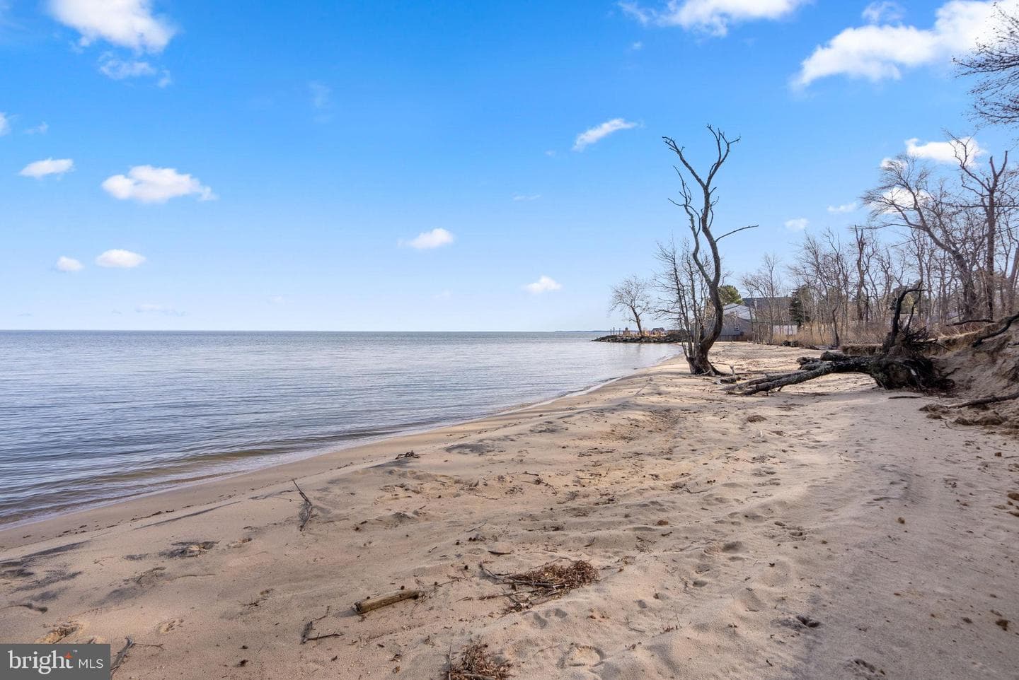 4115 Cassell Boulevard photo 31