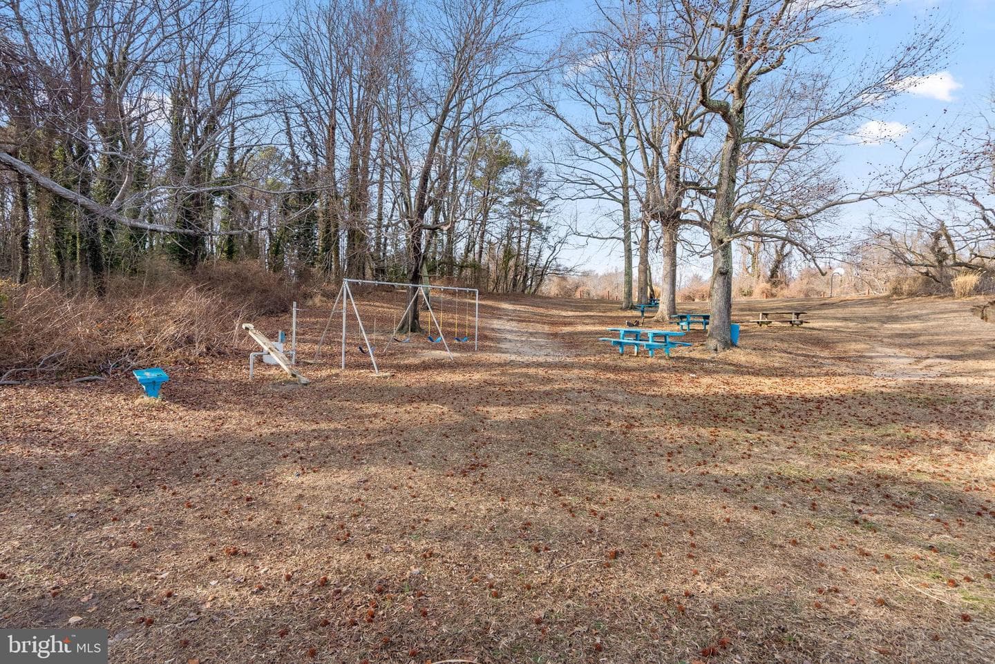 4115 Cassell Boulevard photo 32