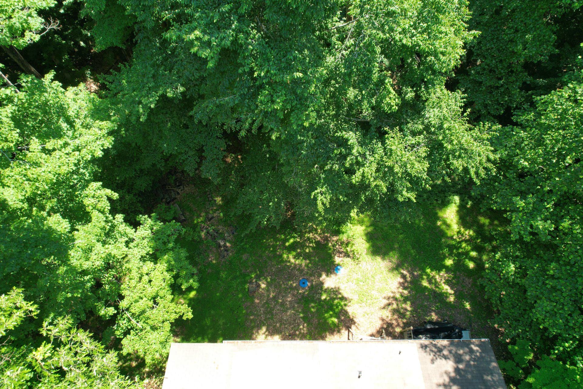 6337 Dory Court photo 44