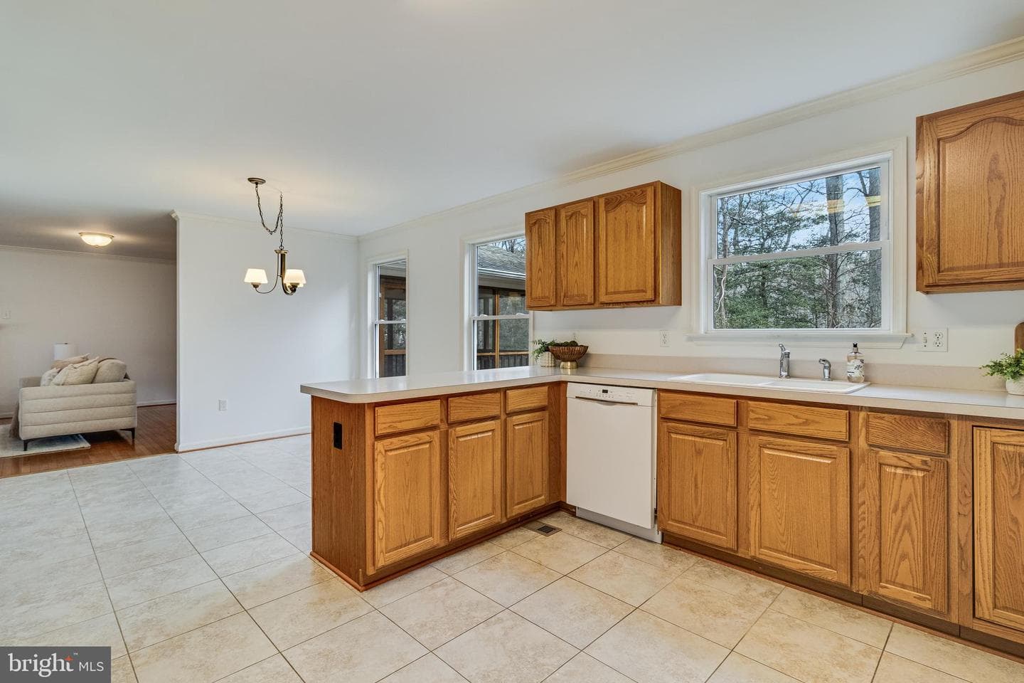 11244 Dancer Court photo 18