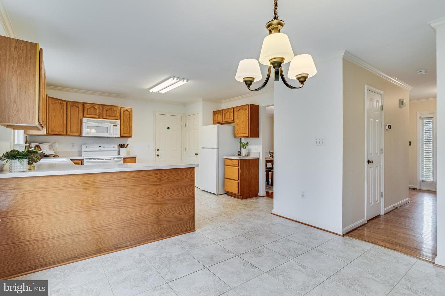 11244 Dancer Court photo 20