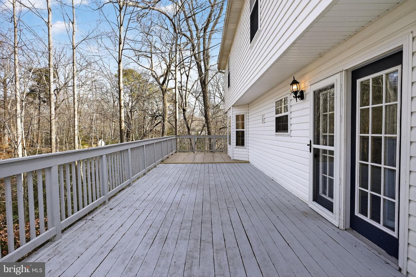 481 Saddle Court photo 14