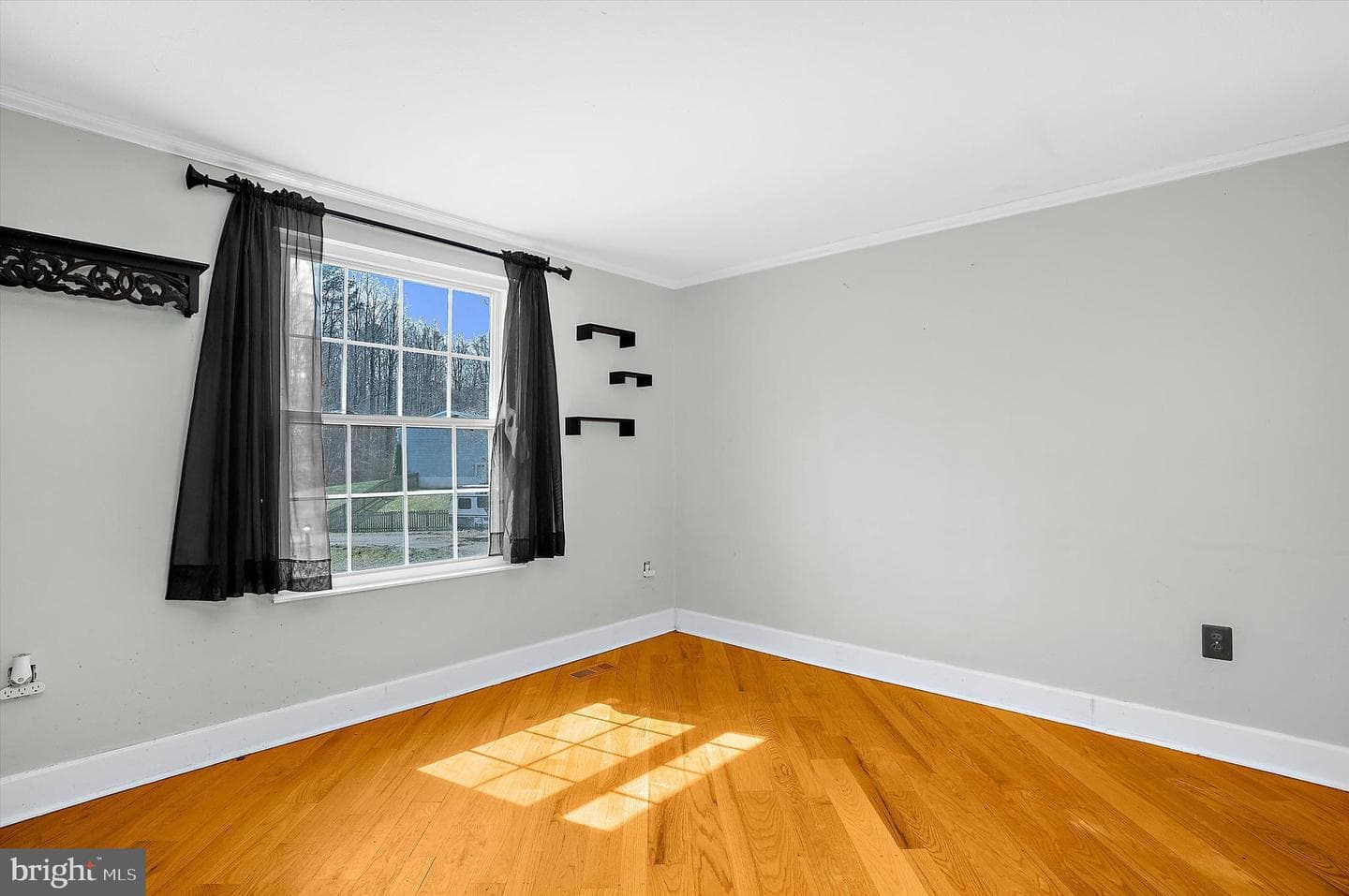 4358 Flora Avenue photo 11