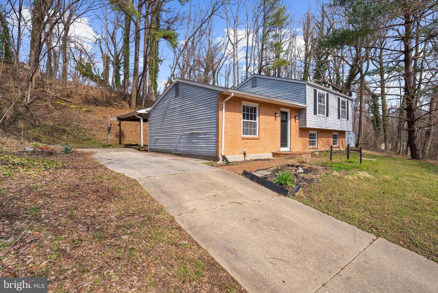 4358 Flora Avenue photo 4