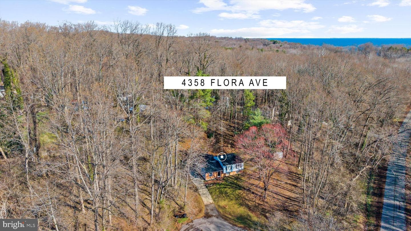 4358 Flora Avenue photo 77