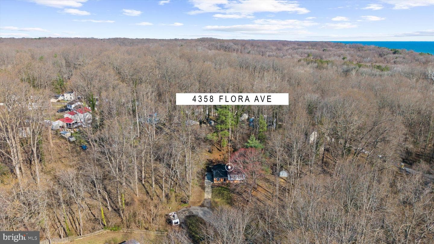 4358 Flora Avenue photo 78