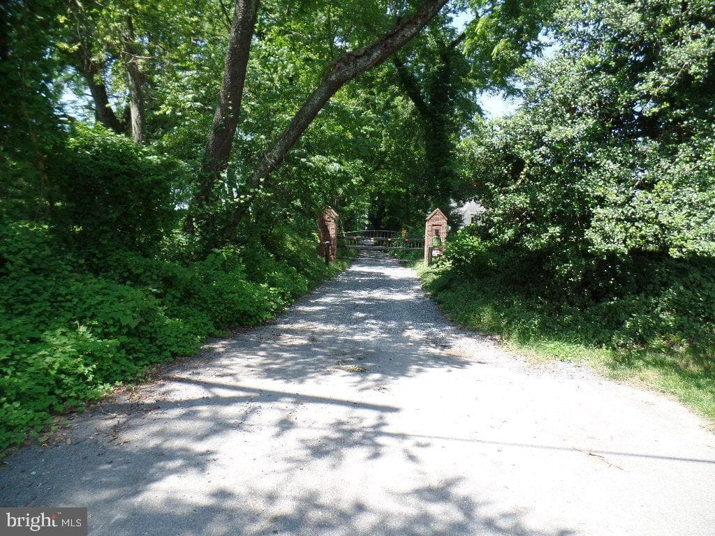 12124 Palisades Drive photo 136