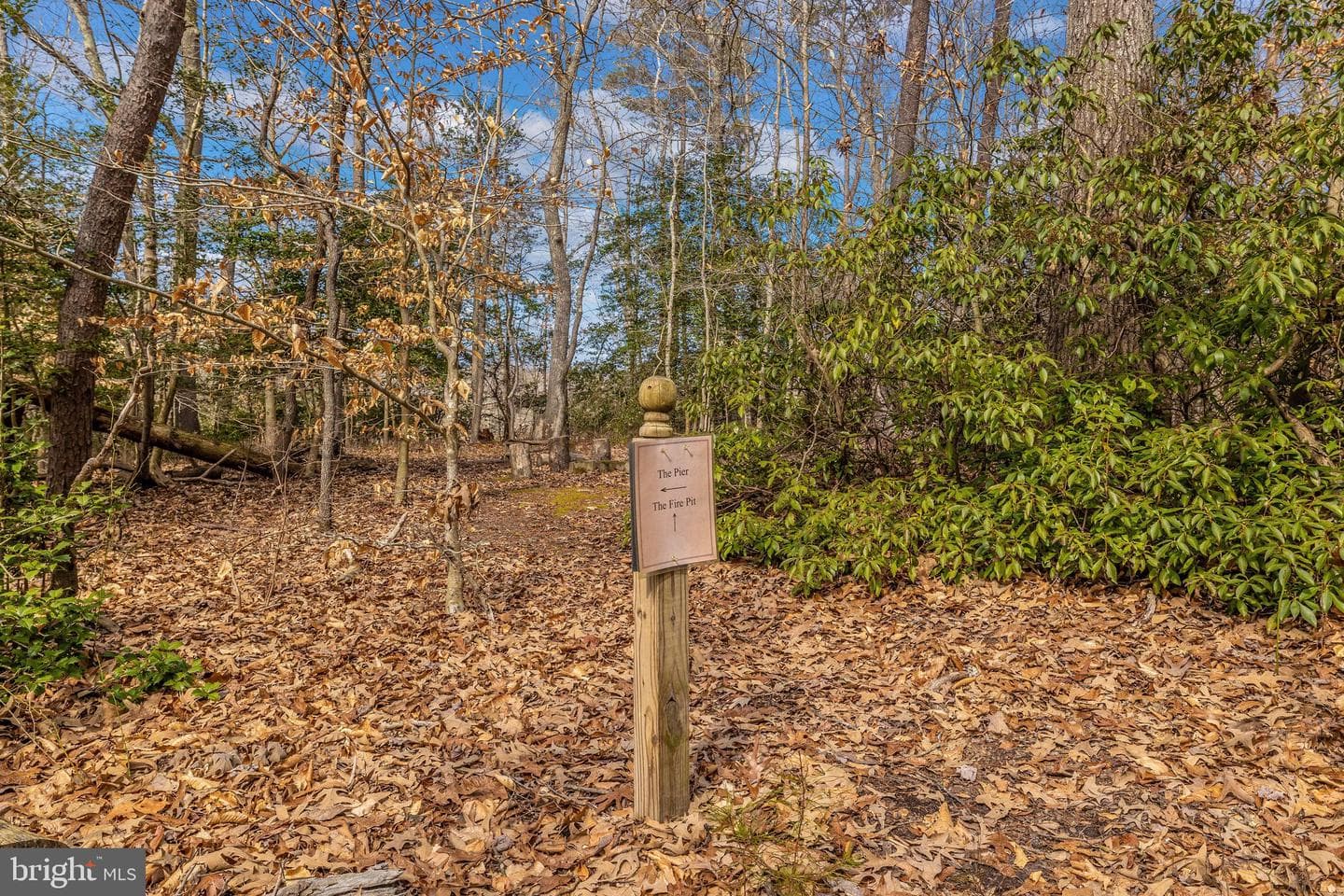 12124 Palisades Drive photo 96