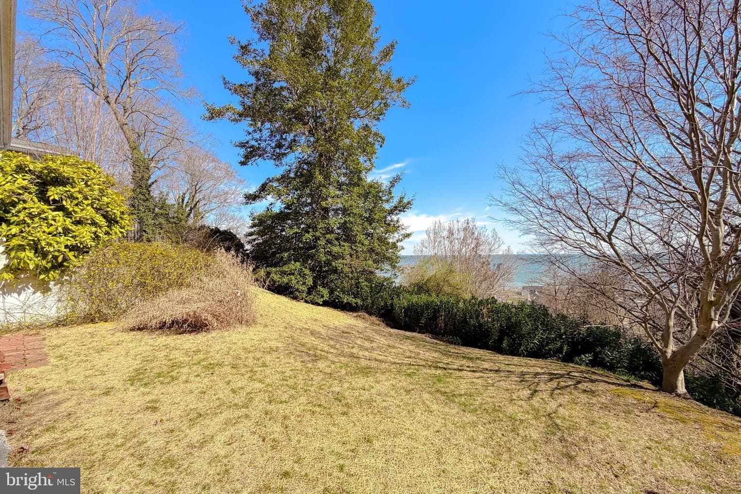 1586 Laurel Road photo 59
