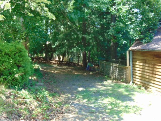 12466 Dalton Trl photo 3